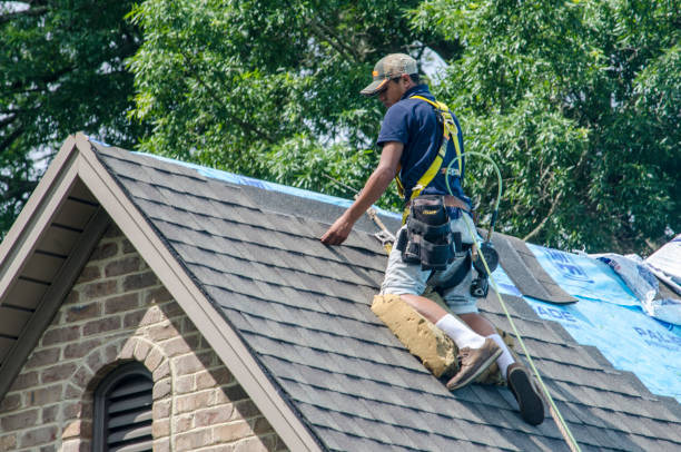 Roof Gutter Cleaning in Loving, NM